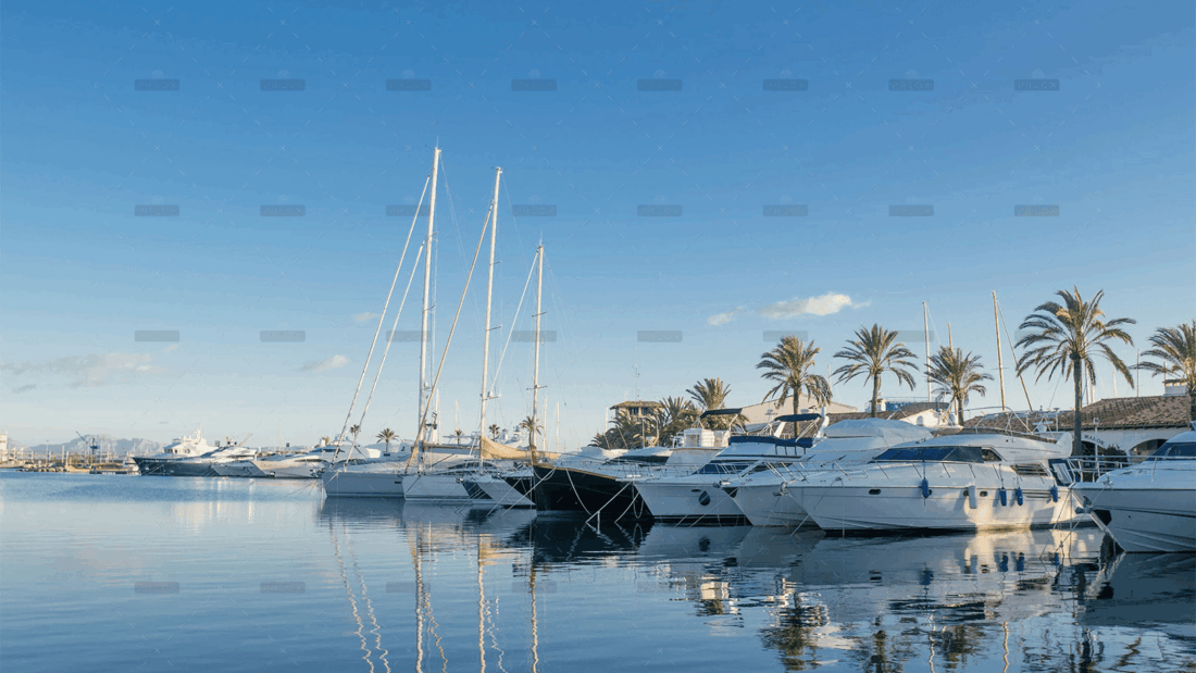 demo-attachment-648-Image-2