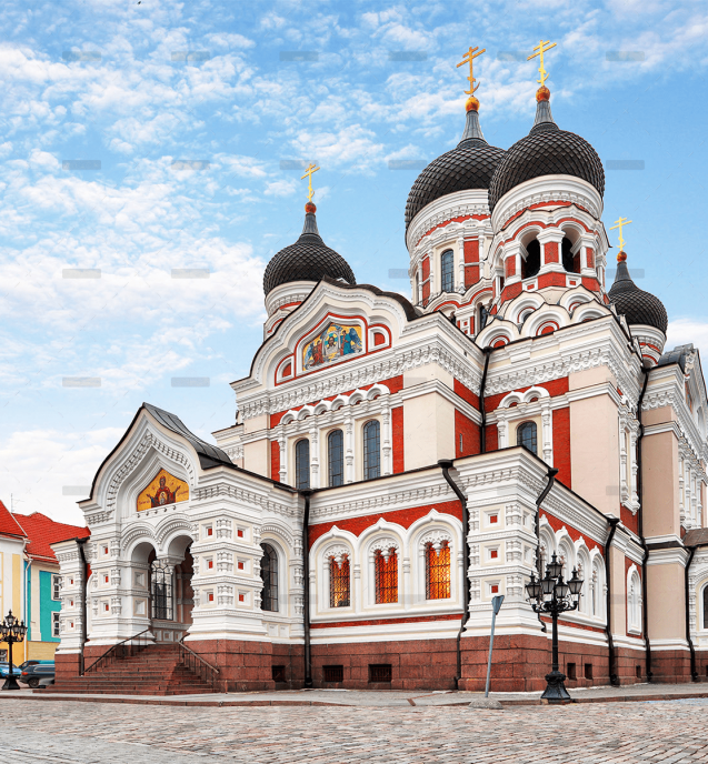 demo-attachment-645-Image-7